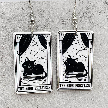 Cartoon Theme Acrylic Dangle Earrings FS-WG40F70-10-1