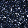 Baking Paint Glass Seed Beads X-SEED-S042-05A-02-3