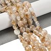 Natural Yellow Lodolite Quartz Beads Strands G-P497-01E-39B-2