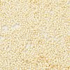 Baking Paint Glass Seed Beads SEED-S042-15B-25-3