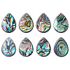 8Pcs Natural Abalone Shell/Paua Shell Beads SHEL-HY0001-18-1