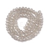 Glass Beads Strands EGLA-A044-J6mm-D10-3