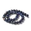 Natural South Africa Sodalite Beads Strands G-S259-35-10mm-6