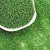12/0 Grade A Round Glass Seed Beads SEED-Q007-F49-2