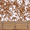 MIYUKI Delica Beads SEED-J020-DB2108-4
