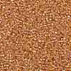 TOHO 11/0 Round Beads X-SEED-TR11-0162B-2