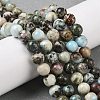 Natural Larimar Beads Strands G-P524-A02-02-2