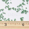 MIYUKI Delica Beads SEED-J020-DB0605-4
