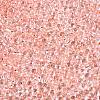 6/0 Baking Paint Transparent Fringe Glass Seed Beads X1-SEED-N006-06E-3