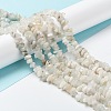 Natural Rainbow Moonstone Beads Strands G-A200-02-7