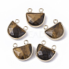 Natural Tiger Eye Semi Circle Pendants G-S359-011C-1