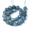 Natural Apatite Beads Strands G-S345-10mm-008-2
