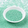 MIYUKI Round Rocailles Beads SEED-X0054-RR0219-2