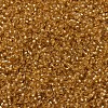 MIYUKI Round Rocailles Beads SEED-G007-RR0004-3