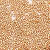 Baking Paint Glass Seed Beads SEED-S042-15B-26-3