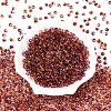 6/0 Gradient Color Glass Seed Beads SEED-N007-36I-2