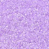 MIYUKI Delica Beads X-SEED-J020-DB0248-3