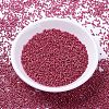 MIYUKI Delica Beads SEED-X0054-DB1841-2