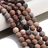 Frosted Natural Petrified Wood Round Bead Strands G-F266-07-8mm-01-5