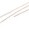 10M 304 Stainless Steel Wire TWIR-N005-0.4mm-RG-2
