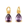 Brass Pave Cubic Zirconia Charms KK-K340-51G-2