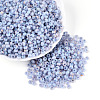6/0 Glass Seed Beads SEED-N008-07B-1
