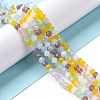 Glass Beads Strands GLAA-E036-05B-2