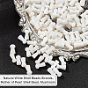 4 Strands Natural Freshwater Shell Beads Strands SHEL-NB0001-52-4