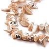 Natural Trochus Shell Beads Strands SSHEL-H070-03A-4