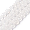 Natural White Agate Beads Strands G-C247-01B-1