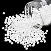 MIYUKI 3.4mm Drop Beads SEED-MY04-DP402F-2