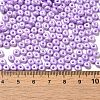 Baking Paint Luster Glass Seed Beads X1-SEED-B001-04A-09-4