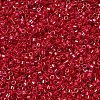 MIYUKI Delica Beads SEED-MY11-DB0214-1