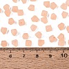 FGB Frosted Transparent Glass Seed Beads SEED-N013-03A-04-4