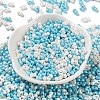 Glass Seed Beads SEED-L011-04A-18-2