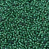 MIYUKI Delica Beads X-SEED-J020-DB1788-3
