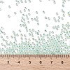 TOHO 11/0 Round Beads X-SEED-TR11-PF2118-3