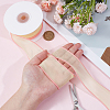 Organza Ribbons AJEW-CY0002-42C-3
