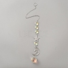 Glass & Alloy Hanging Suncatchers AJEW-WH0481-177F-1