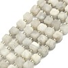 Natural Whtie Crazy Agate Beads Strands G-I376-D88-01-1