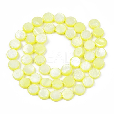Freshwater Shell Beads Strands SHEL-T009-B16-01-1