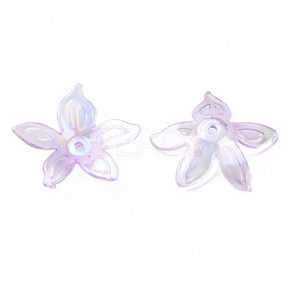 Transparent Acrylic Beads MACR-S373-102-C03-1