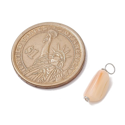 Natural Seashell Nuggets Charms PALLOY-JF02841-1