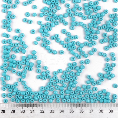 Baking Paint Glass Seed Beads SEED-US0003-4mm-K10-1