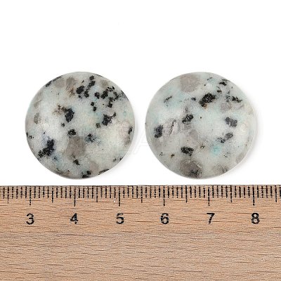 Natural Sesame Jasper Cabochons G-H1596-FR-25mm-14-1