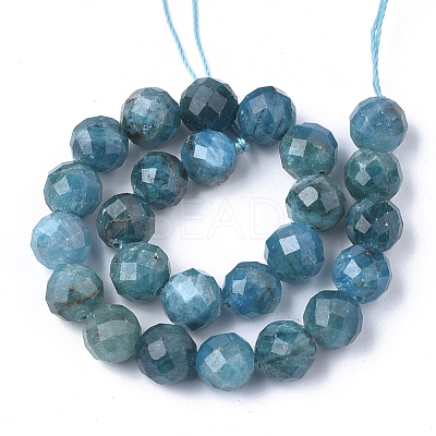 Natural Apatite Beads Strands G-S345-10mm-008-1
