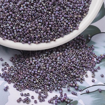 MIYUKI Delica Beads SEED-X0054-DB2322-1