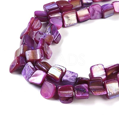 Dyed Natural Freshwater Shell Beads Strands X-SHEL-P016-01D-1