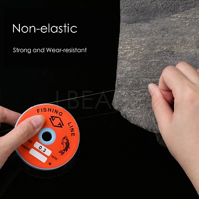 Transparent Fishing Thread Nylon Wire EC-L001-0.3mm-01-1