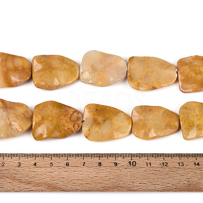 Natural Mookaite Beads Strands G-T143-20C-1